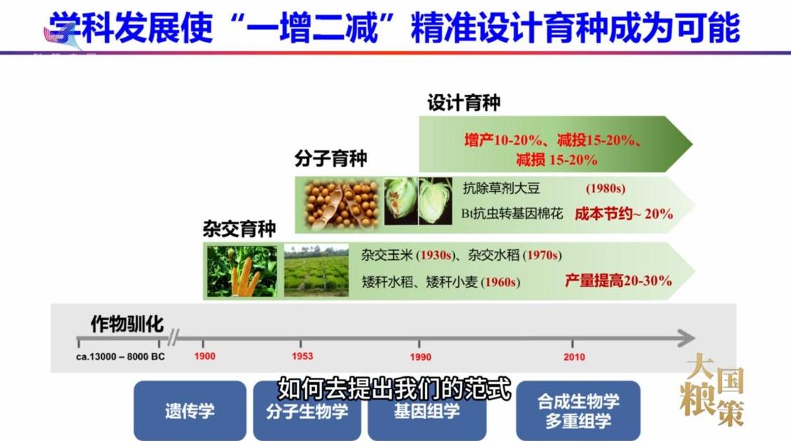 饭碗里的“底气”：更聪明的作物，更智慧的培育