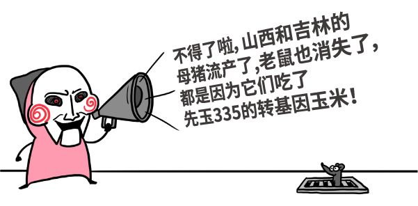 漫画|美国母猪为什么假装怀孕？破解转基因食品的四大谣言