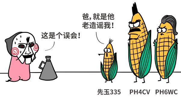 漫画|美国母猪为什么假装怀孕？破解转基因食品的四大谣言