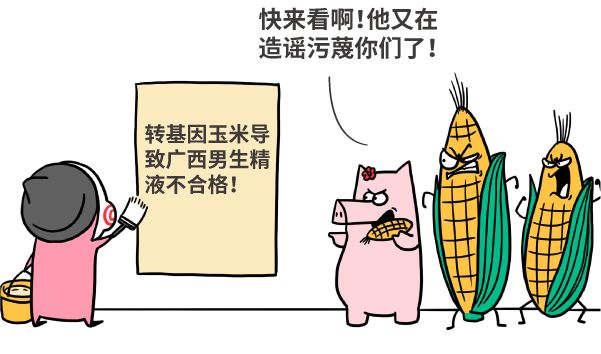 漫画|美国母猪为什么假装怀孕？破解转基因食品的四大谣言