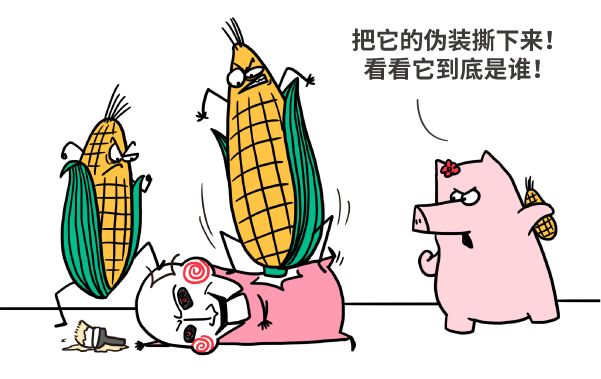 漫画|美国母猪为什么假装怀孕？破解转基因食品的四大谣言