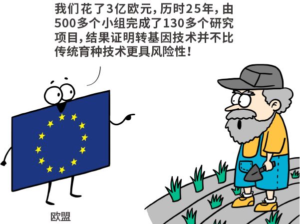 漫画|美国母猪为什么假装怀孕？破解转基因食品的四大谣言