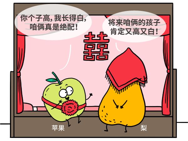 漫画|纯天然农作物？不存在的，老祖宗早就改乱了它们的基因