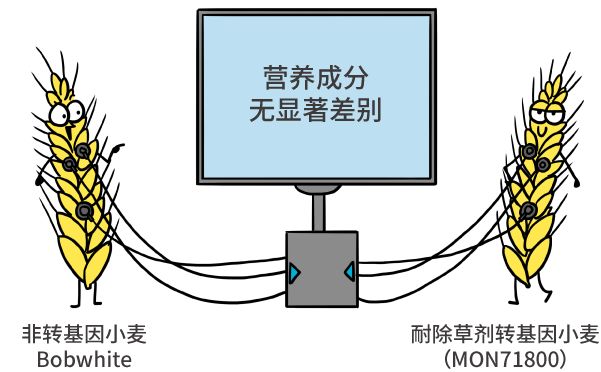 漫画|纯天然农作物？不存在的，老祖宗早就改乱了它们的基因