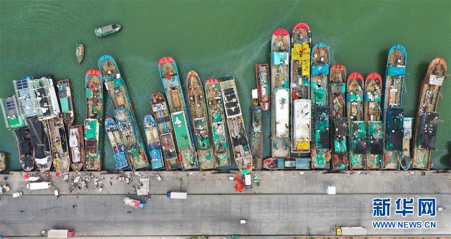 海南：耕海归来鱼满仓