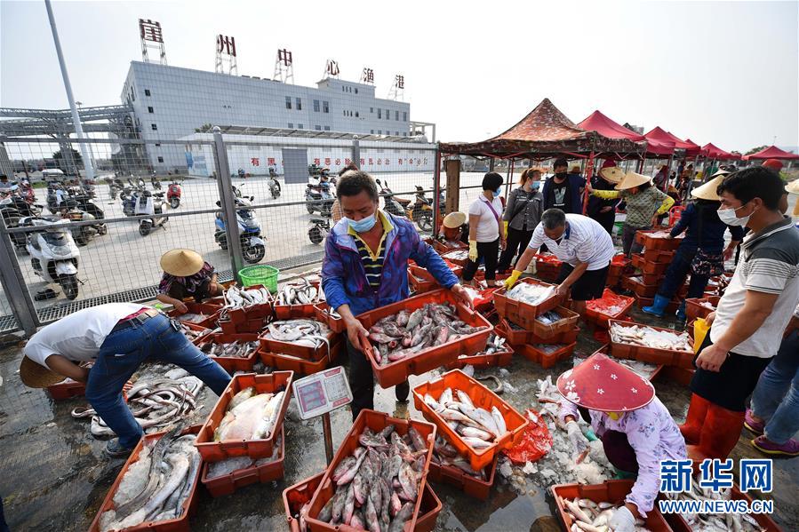 海南：耕海归来鱼满仓