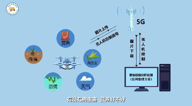 5G：通往现代农业的高速路