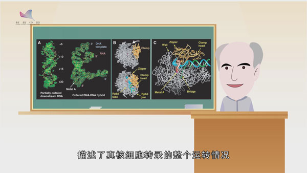 基因故事动画⑧：子承父业获诺奖 “基因业务”能遗传？