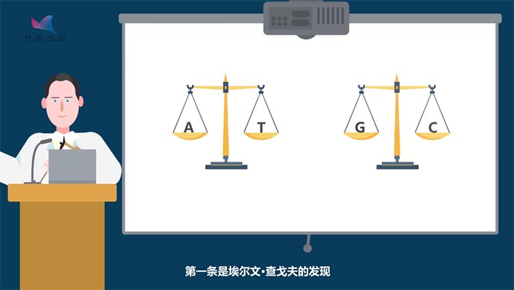 基因故事动画⑤：DNA的结构之谜