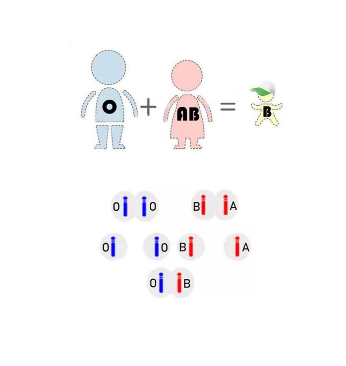 孩子是不是亲生？揭开“隐藏基因”的秘密