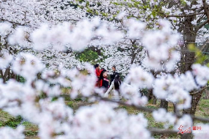 正是三月好春光，花粉过敏怎么办？