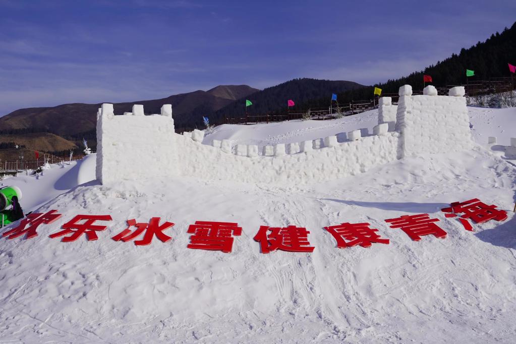 追光丨冰雪经济为高原乡村振兴“添翼”