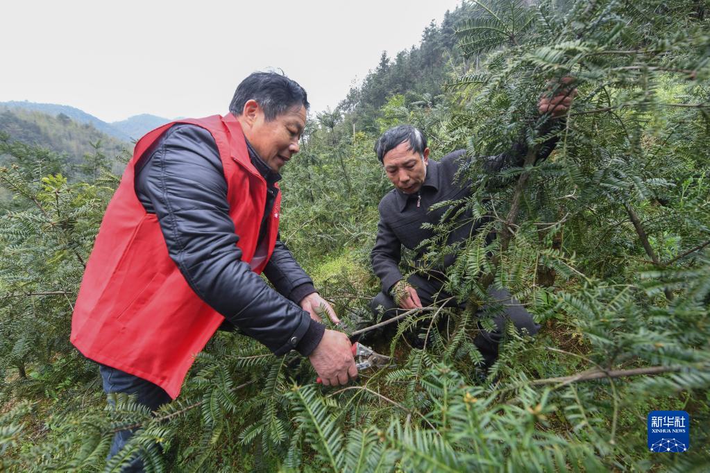 “田间课堂”助农春耕