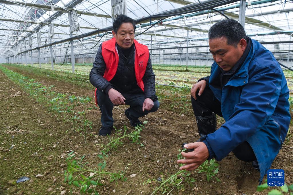 “田间课堂”助农春耕