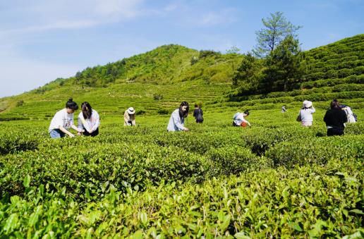 湖南祁东：农旅融合 游客好去处村民富口袋