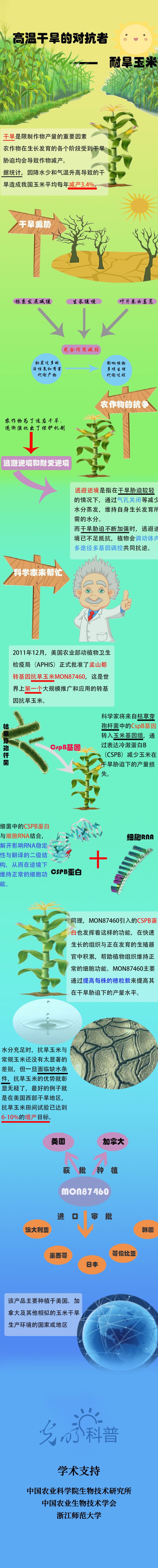 可视化|一图读懂：耐旱玉米是怎样炼成的？