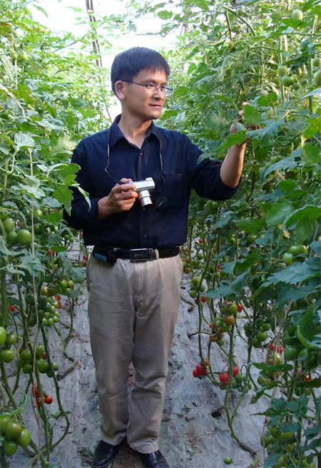 全国政协委员李宝聚：培育设施蔬菜种植大户，推进设施蔬菜产业高质量发展