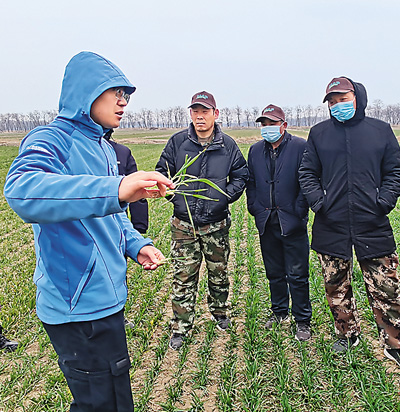 农艺师田间“把脉”助春耕