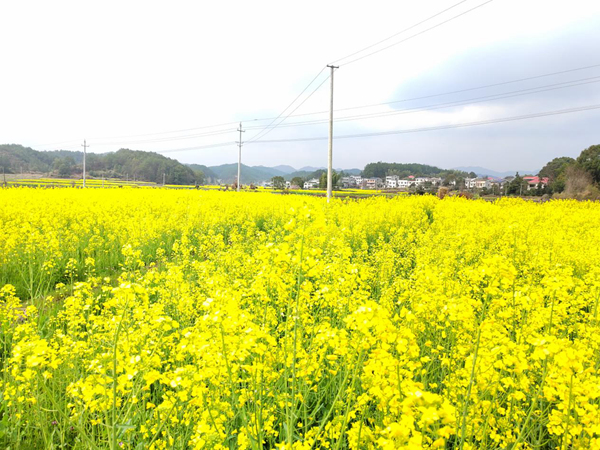 @浏阳人，达峰村喊你来打卡！