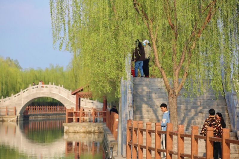 河南范县：昔日“空心村”蝶变“网红村”