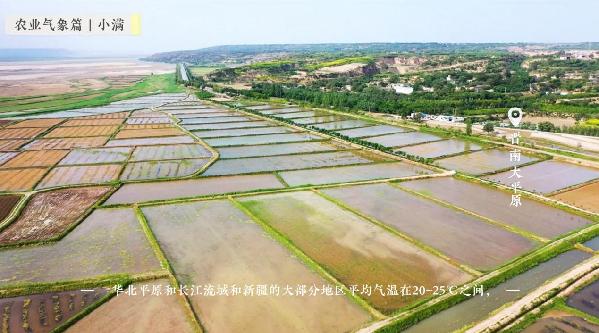 【智惠农民】小满——长夏渐盛，麦浪青青