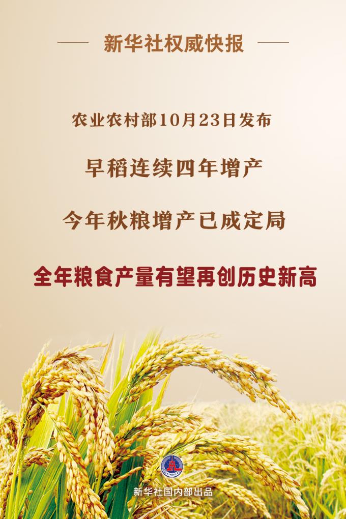 权威快报|今年秋粮增产已成定局