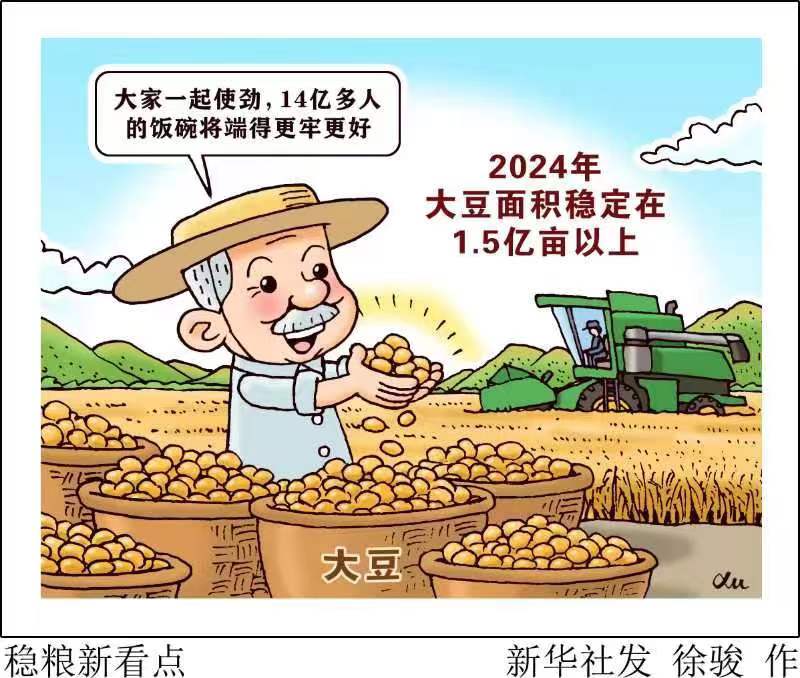 中国稳粮新看点！“金豆豆”1.5亿亩以上