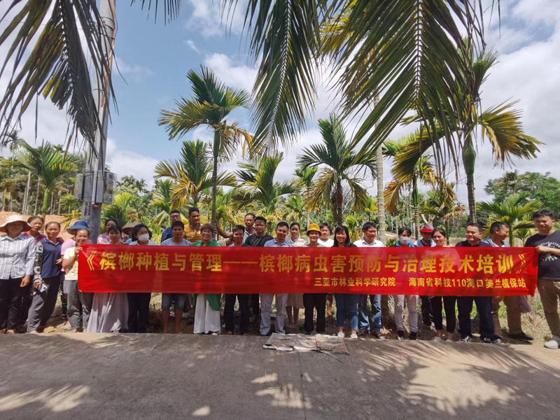 新春走基层｜魏虹：用绿色防控技术，绘就海岛新春“丰”景