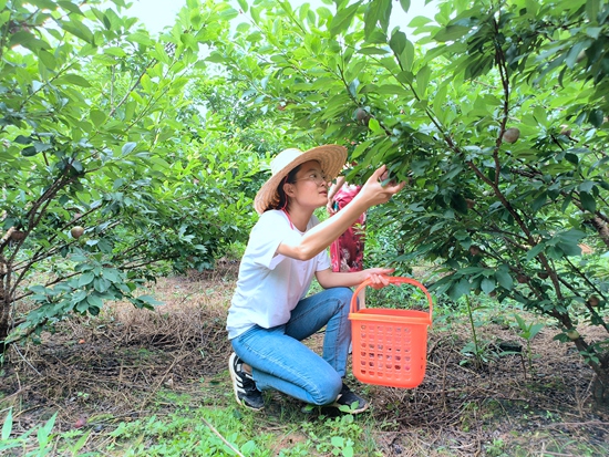 女硕士返乡和村民一起闯出“致富路”