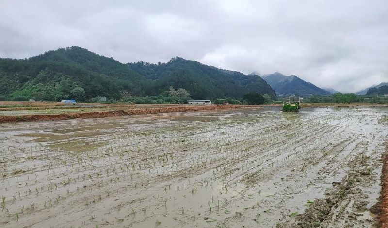 春耕春种走农发丨项目建设春正浓 耕种有序开新篇