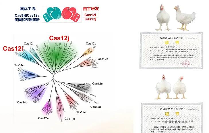 五年，中国农大人能创造什么？