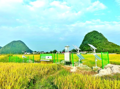 科技吹“新”风 田野绘“丰”景——贵州贵阳探索智慧农业发展新路径