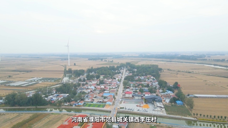 【乡村振兴有我】河南西李庄村王珊：诚心贴心用心地为群众办实事