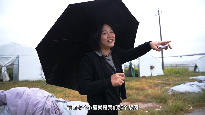【乡村振兴有我】河南西李庄村王珊：诚心贴心用心地为群众办实事