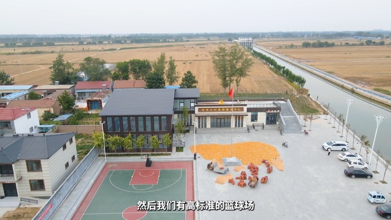 【乡村振兴有我】河南西李庄村王珊：诚心贴心用心地为群众办实事