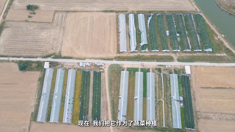 【乡村振兴有我】河南西李庄村王珊：诚心贴心用心地为群众办实事