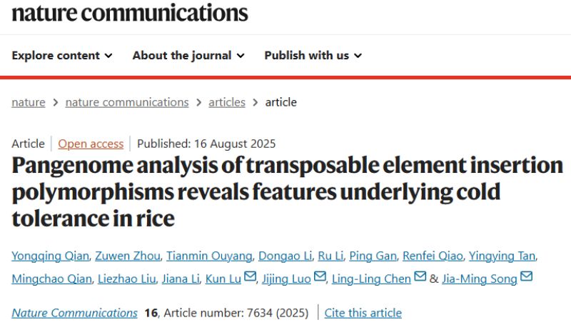 冷到发抖?转座子助力植物修炼抗冻“超能力” 冷到发抖?转座子助力植物修炼抗冻“超能力”