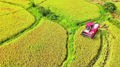 大江南北唱响丰收欢歌——2025年中国农民丰收节全国主场活动速写 大江南北唱响丰收欢歌——2025年中国农民丰收节全国主场活动速写