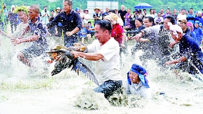 大江南北唱响丰收欢歌——2025年中国农民丰收节全国主场活动速写 大江南北唱响丰收欢歌——2025年中国农民丰收节全国主场活动速写