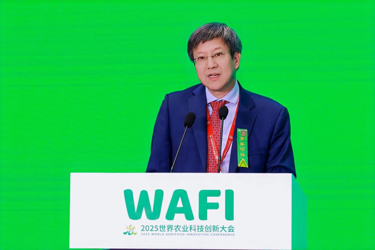 2025WAFI｜全球青年论坛：以青春力量绘就未来农食系统新图景