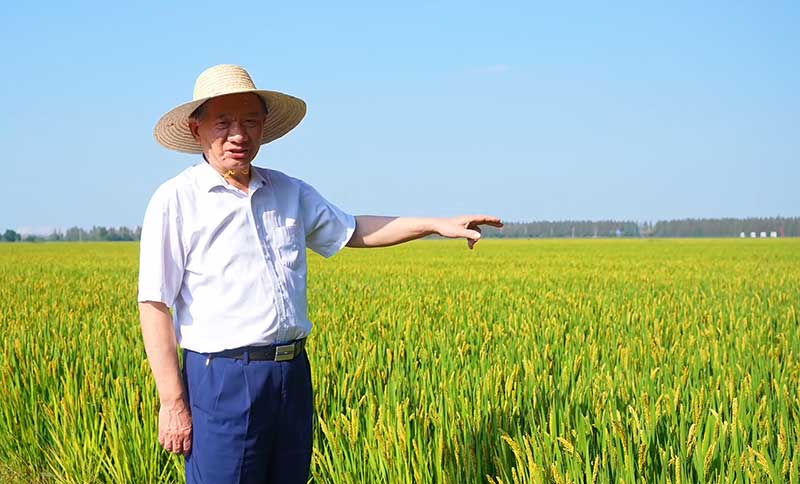 1亩稻田多投入3元，收益净增150元，秘密在这株“菌”里