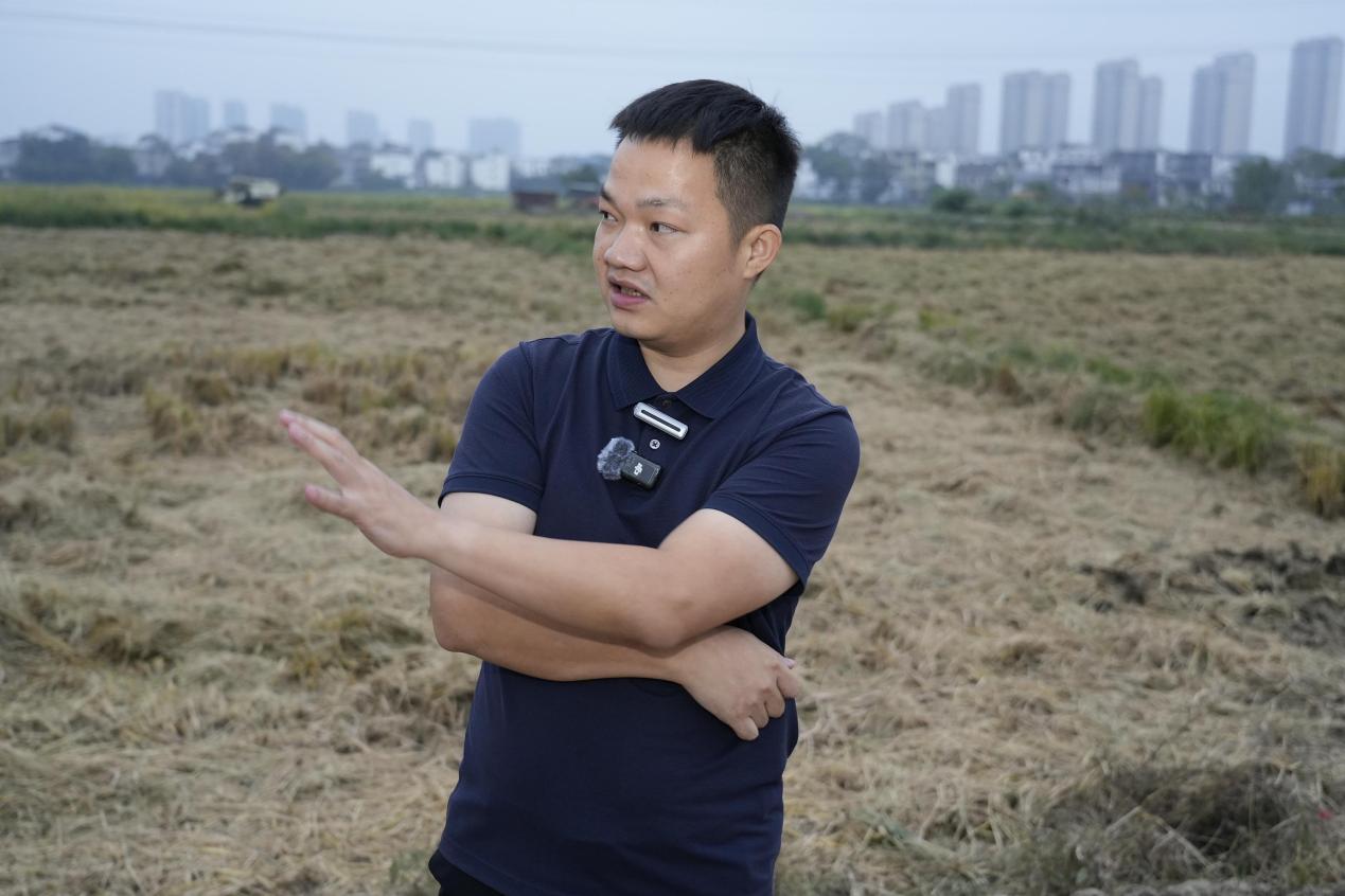 柴桑田间绘新景：高标准农田让“粮田”变“良田”