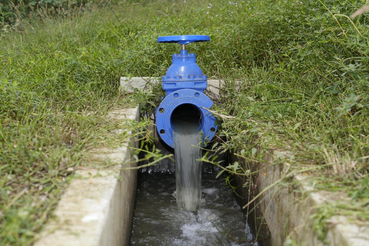 柴桑田间绘新景：高标准农田让“粮田”变“良田”