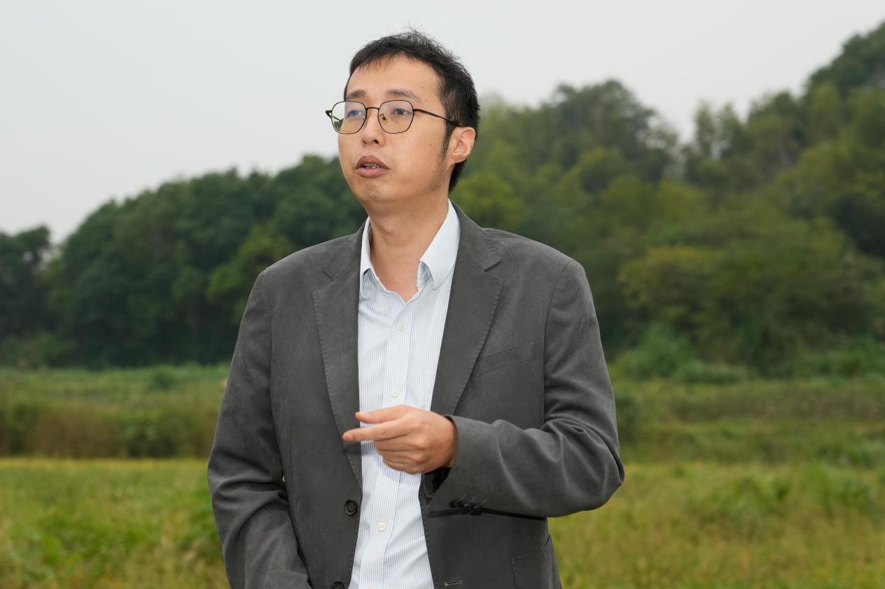 柴桑田间绘新景：高标准农田让“粮田”变“良田”