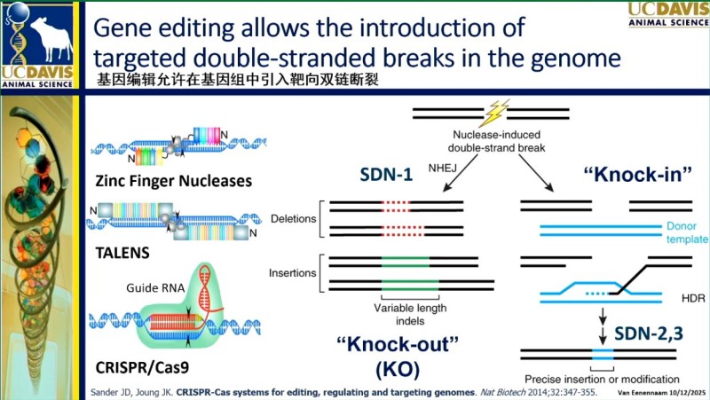 基因编辑：动物育种告别“慢功夫”，迈入“精准时代”