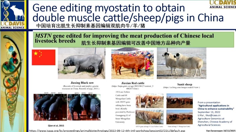 基因编辑：动物育种告别“慢功夫”，迈入“精准时代”