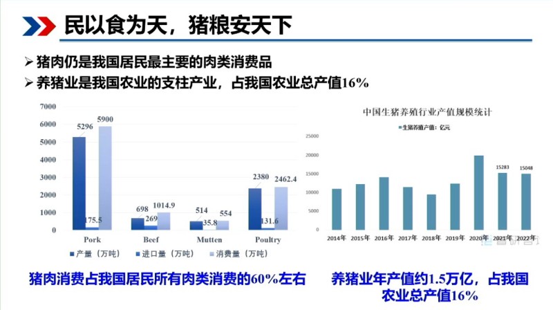 印遇龙院士：基因编辑+AI，用生物育种给地方猪“提质升级”