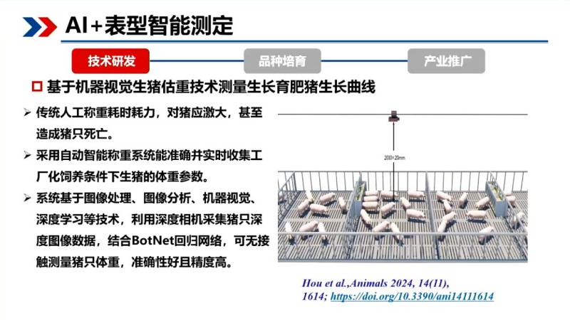 印遇龙院士：基因编辑+AI，用生物育种给地方猪“提质升级”