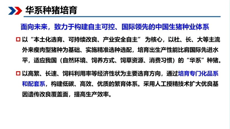 印遇龙院士：基因编辑+AI，用生物育种给地方猪“提质升级”