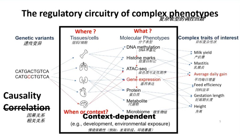 藏在食材里的基因智慧：好品种，是这样选出来的
